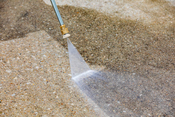 Best Roof Washing  in Old Forge, PA
